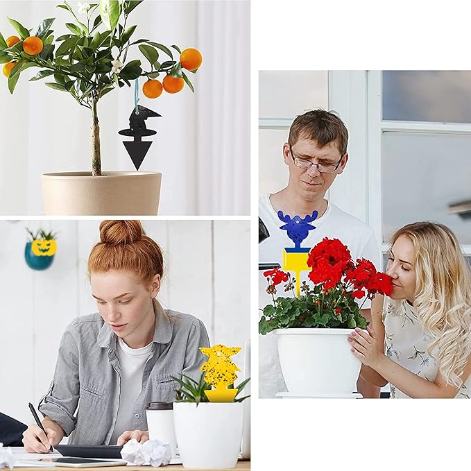 30 Pcs Fruit Fly Traps for Indoors, Fungus Gnat Sticky Traps for Plants, Mosquito Insect Kille Traps for Fruit Flies, Thrips, Aphids, Moths, Whiteflies, 3 Color Phototaxis for Caught Multi Bugs