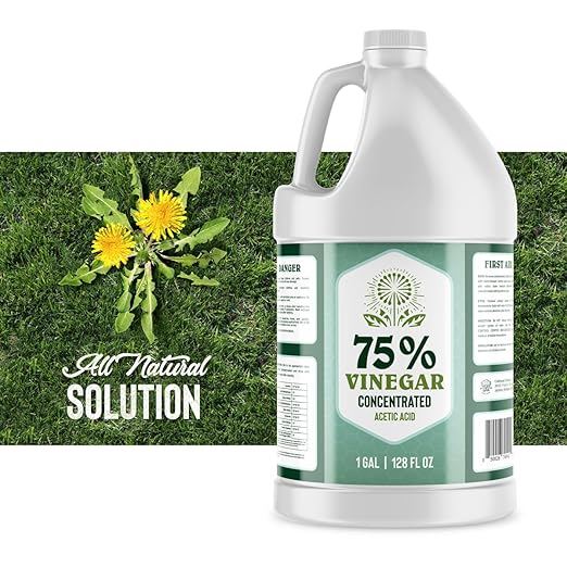 75% Vinegar - 1 Gallon - Concentrated Acetic Acid - All Natural Multipurpose Cleaning Vinegar