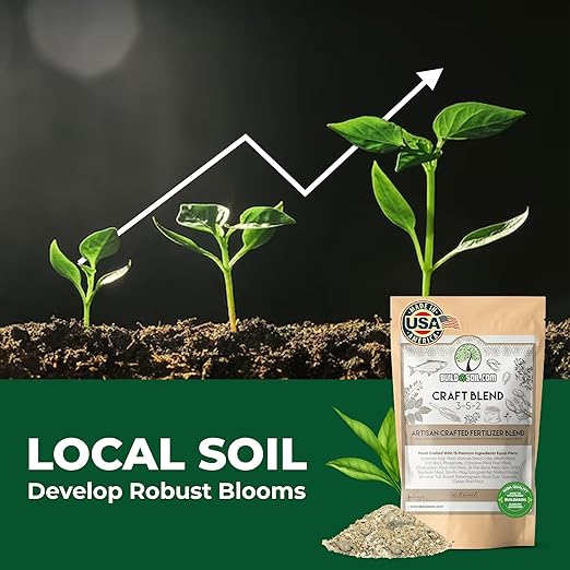BuildASoil Fertilizer for Vegetable Garden and Organic Plant Food | Hand-Crafted Organic Fertilizer with 15 Premium Ingredients | Ensures Larger Plants and More Fragrant Flowers (10 LB - Medium Bag)