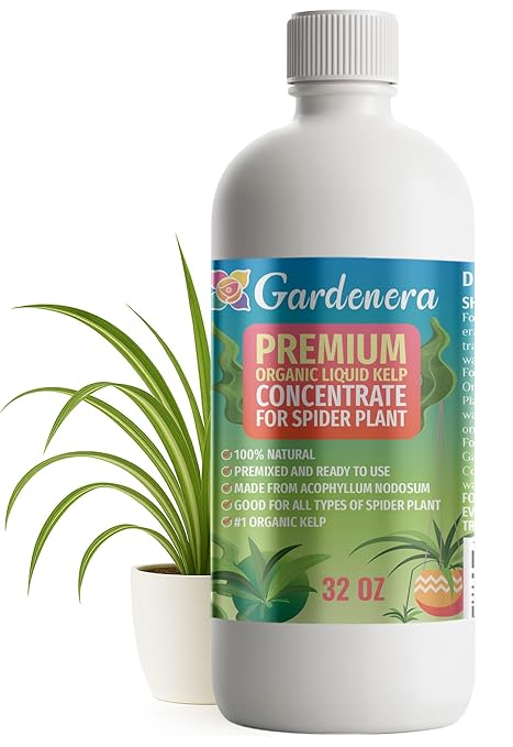GARDENERA Premium Organic Seaweed & Kelp Superfood for Snake Plant Plants - 32 oz - Liquid Kelp Fertilizer Concentrate (Makes 180 Gallons)