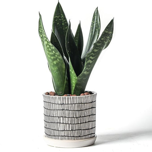 5.8 Inch Plant Pot: Ceramic Planter with Drainage Hole & Saucer - Cylinder Flowerpot for Indoor & Outdoor Plants - with Separate Tray for Home & Office - Striped Design
