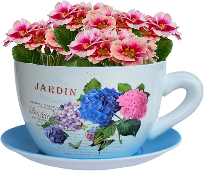 7.5” Round Ceramic Teacup Shape Planter Pot with Saucer for Succulents Orchid Herbs Cactus Indoor Houseplants Flowers for Home Garden and Event Decor – Yellow Butterfly Garden