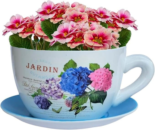 7.5” Round Ceramic Teacup Shape Planter Pot with Saucer for Succulents Orchid Herbs Cactus Indoor Houseplants Flowers for Home Garden and Event Decor – Yellow Butterfly Garden