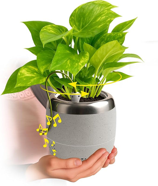 PLANTPETZ Large Robotic Planter – Smart Planter Fits 4 Inch Pots | Bluetooth Speaker | Interactive Smart Plant Pot Turns A Real Plant Into a Touch/Motion Responsive Companion - Sand Beach Tan