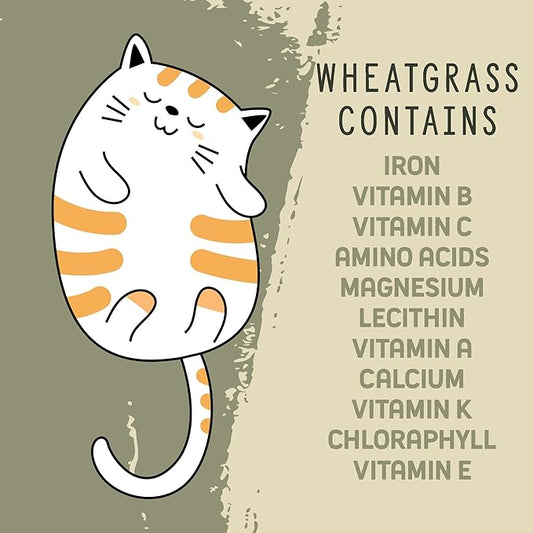 Organic Wheatgrass Cat Grass Premium Grow Kit 4 Pack | 100 % Wheatgrass Seeds Non‑GMO Seeds for Cats & Humans