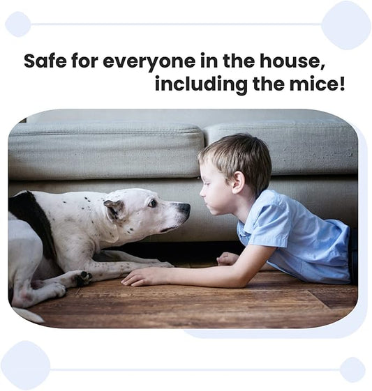 Home and Country USA Humane Mouse Trap. Our Catch and Release Mouse Traps are Designed as a Live Mouse and Rat Trap for Those who Want to Remove mice The Right Way. (Large and Small)(1 Large)