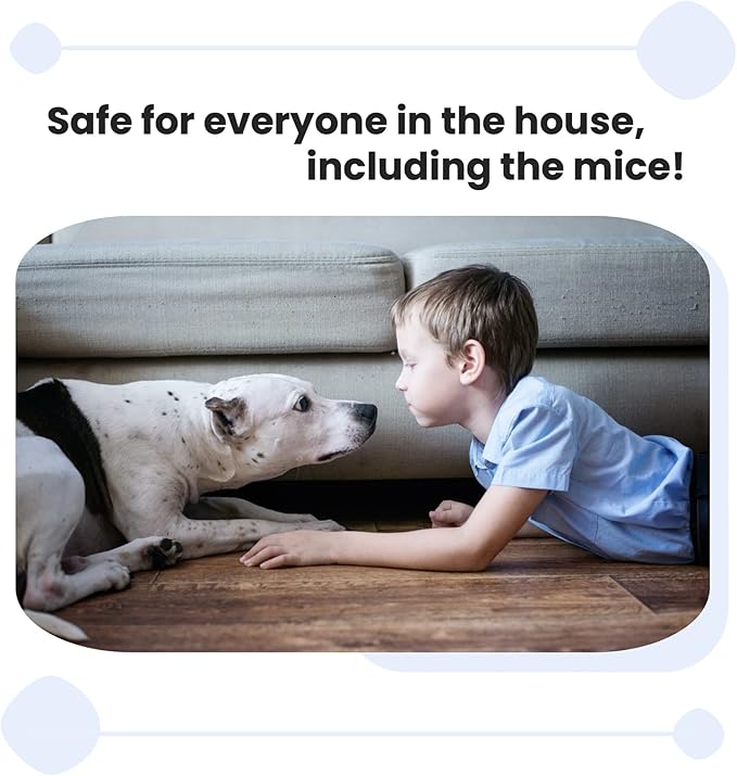 Home and Country USA Humane Mouse Trap - Our Mouse Traps are designed as a live mouse trap for those who want to quickly and easily remove a mouse the right way. (2)