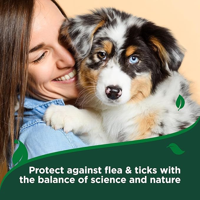Vet's Best Natural Indoor Flea and Tick Spray – Dog Flea and Tick Treatment for Home, Plant-Based Formula with Natural Oils, Kills Fleas, Eggs & Ticks on Contact, USA Made, Cotton Spice, 32 oz, 2-Pack