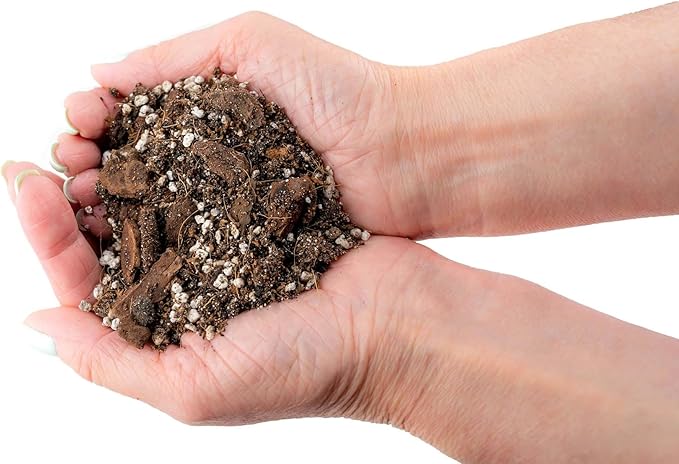 Gardenera Fiddle Leaf Fig House Plant Soil Premium All Purpose Blend - Peat Moss, New Zealand Bark, Coco Chips and Fibers, Perlite - 3 Quart Bag