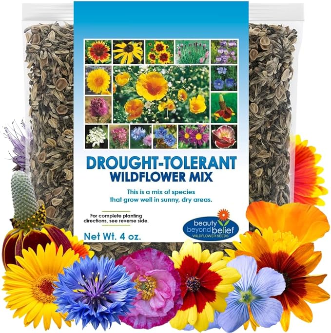 Drought Tolerant Wildflower Seeds - 4oz, Open-Pollinated Bulk Flower Seed Mix for Beautiful Perennial, Annual Garden Flowers - No Fillers - 4 oz Packet