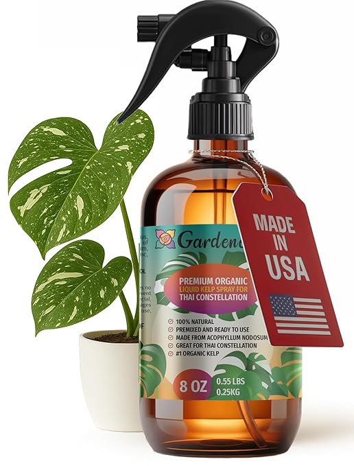 GARDENERA Professional Organic Liquid Kelp Spray for Thai Constellation Plants - 8 oz - Ready-to-Use Fully Organic Seaweed & Kelp Fertilizer Mist