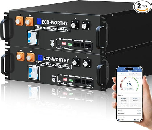 ECO-WORTHY 48V 200Ah LiFePO4 Lithium Battery (2 Pack 48V 100AH) w/Bluetooth | UL1973 & UL9540A & CEC Listed | 10.24KWh Server Rack Battery for Solar Energy Storage, Home Backup Power