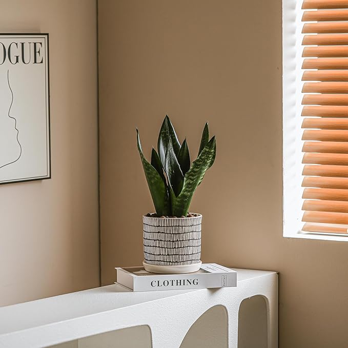 5.8 Inch Plant Pot: Ceramic Planter with Drainage Hole & Saucer - Cylinder Flowerpot for Indoor & Outdoor Plants - with Separate Tray for Home & Office - Striped Design