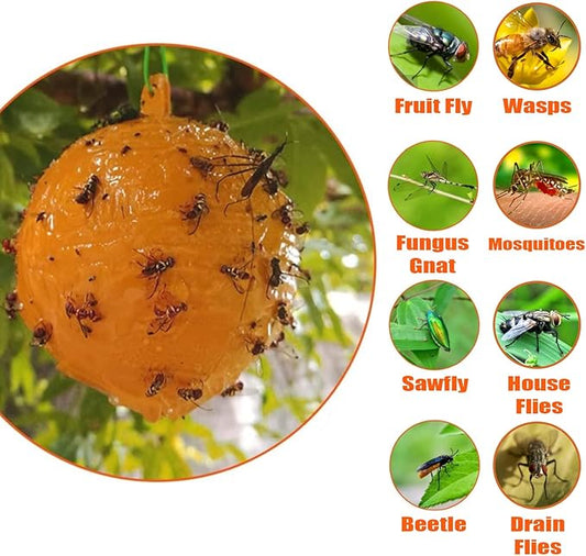 6 PCS Fly Traps Ball Fly Trap Indoor, Hanging Fly Bugs Sticky Ball Outdoor, Gnat Trap Ball for House Plants Kitchen Drain Yard Garden (6PCS, Yellow)