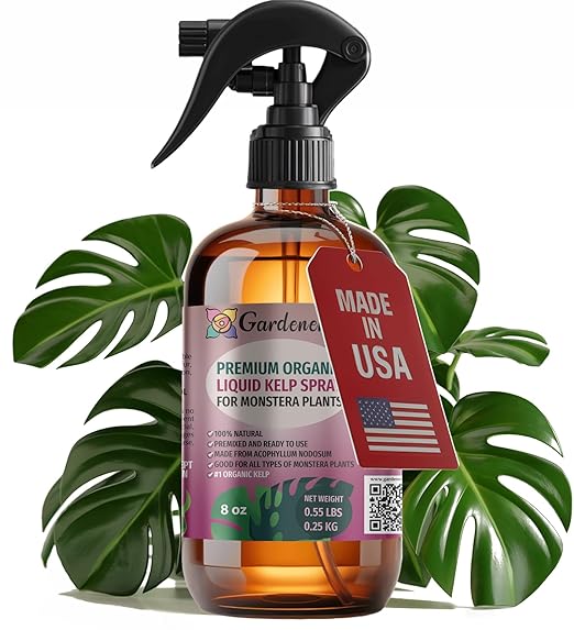 GARDENERA Professional Organic Liquid Kelp Spray for Monstera Plants - 8 oz - Ready-to-Use Fully Organic Seaweed & Kelp Fertilizer Mist