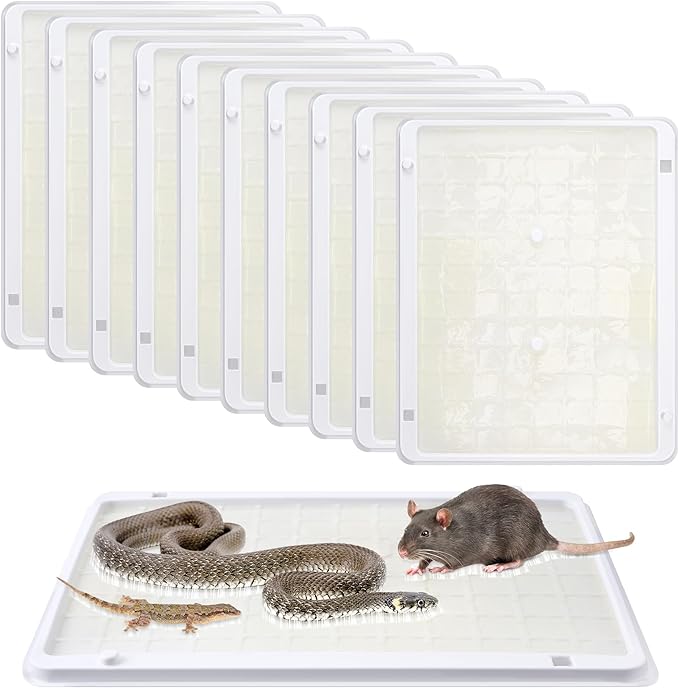 Qualirey 10 Pack Jumbo Rat & Mouse Glue Traps, 11.8 X 9.84 in Large Heavy Duty Mouse Traps Indoor for Home, Pre Scented Adhesive Plastic Tray with for Spider, Snake, Mice, Kids and Pet Safe (White)