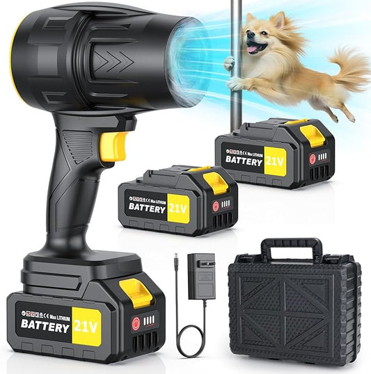 Handheld Leaf Blower Cordless with 2 Battery and Charger, 550CFM Lightweight Electric Cordless Leaf Blowers, 21V Battery Powered Leaves Blowers for Lawn Care, Patio, Car and Dus (Black)