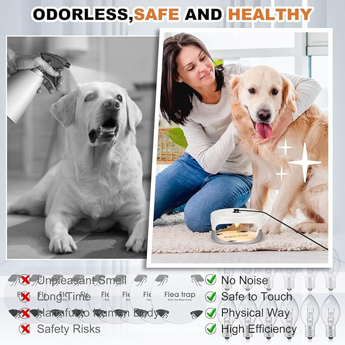 Qualirey 6 Pack Flea Traps with Sticky Disc Bulbs Flea Traps for Inside Your Home Light Trap for Indoor Safe to Pets (White Gray)