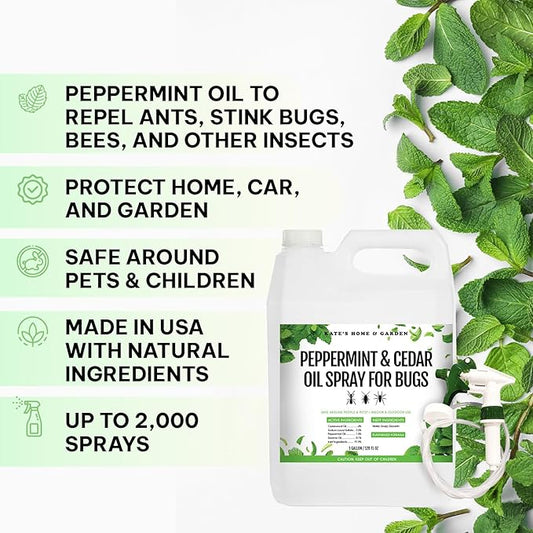Kate's Home & Garden Peppermint Oil Spray for Bugs, Ants, Insects, Spiders, Stink Bug. Pesticide and Insecticide Indoor Repellent Pest Control with Cedarwood Oil (Gallon, Natural, Pet Safe, Non Toxic)