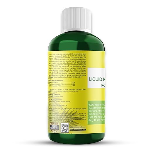 Organic Premium Kelp Seaweed Fertilizer for Lucky Bamboo - Liquid Plant Food - Hydroponics - Soil Enhancer - Natural (32 OZ)