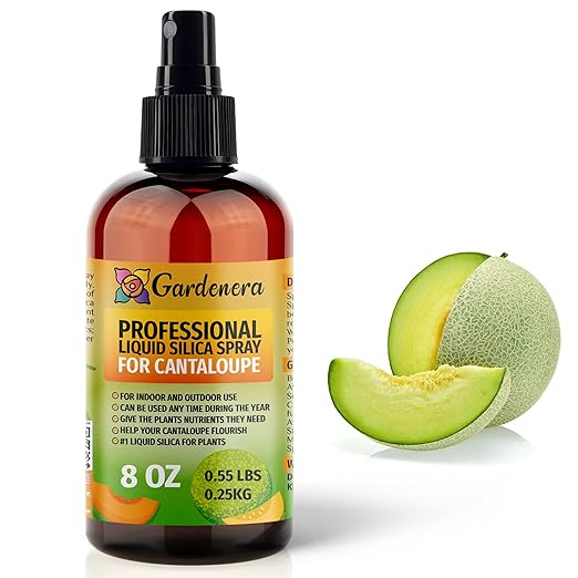 𝐒𝐔𝐏𝐄𝐑𝐈𝐎𝐑 Liquid Silica Boost Fertilizer and Supplement Spray for Cantaloupe Plants – Pre-Mixed, Ready-to-Use Liquid Silicon Plant Superfood Mist for Indoor & Outdoor Plants – 8oz