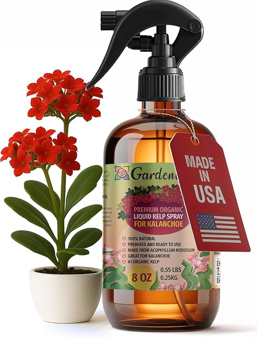 GARDENERA Professional Organic Liquid Kelp Spray for KALANCHOE Plants - 8 oz - Ready-to-Use Fully Organic Seaweed & Kelp Fertilizer Mist