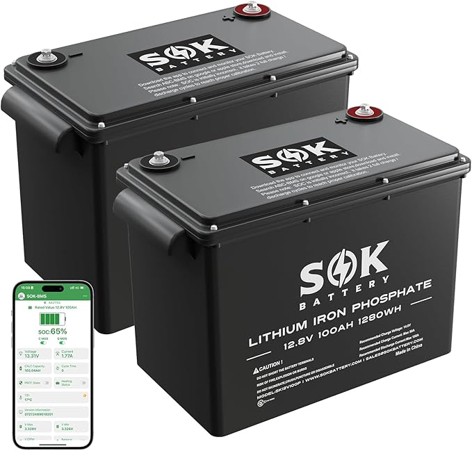 SOK Battery 100Ah 12V 2-Pack LiFePO4 Deep Cycle Lithium Iron Phosphate Batteries - Ideal for RVs & Off-Grid Use with Low-Temperature Protection, ABS Housing, Marine Grade