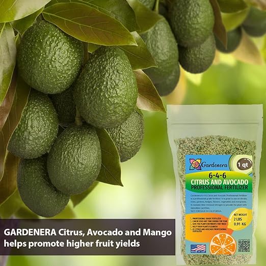 𝐁𝐄𝐒𝐓𝐒𝐄𝐋𝐋𝐄𝐑 6-4-6 Avocado Citrus Tree Plant Food for Outdoor/Indoor Gardening | Quick-Release Nitrogen Fertilizer | Orange, Lime, Avocado and Lemon Tree Fertilizer (1 Quart)