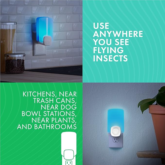 STEM Insect Light Trap Refill Cartridges, Indoor Fruit Fly Trap, Insecticide-Free Pest Control for Home, Attracts and Traps Flying Insects, Official STEM Refills - 6 Count