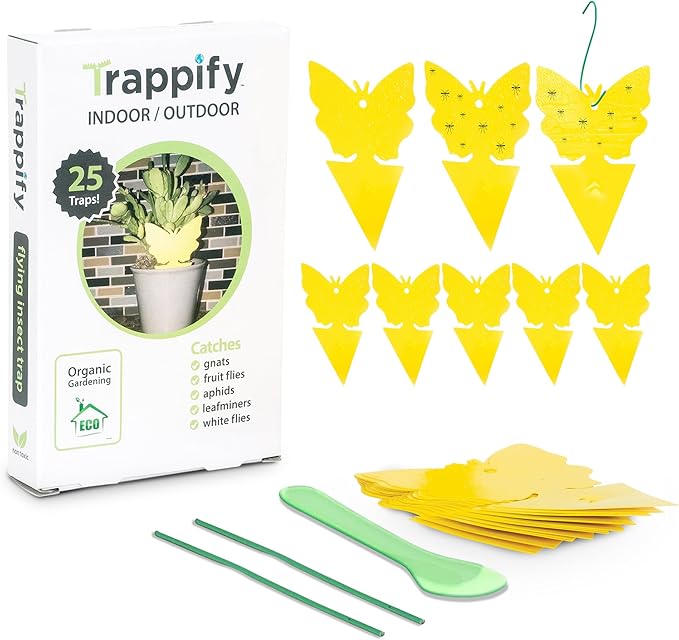 Trappify Sticky Gnat Traps for House Indoor - Yellow Fruit Fly Traps for Indoors|Outdoor Plants | Insect Catcher for White Flies, Mosquitos, Fungus Gnats | Disposable Glue Fly Trap Indoor (25 Pack)