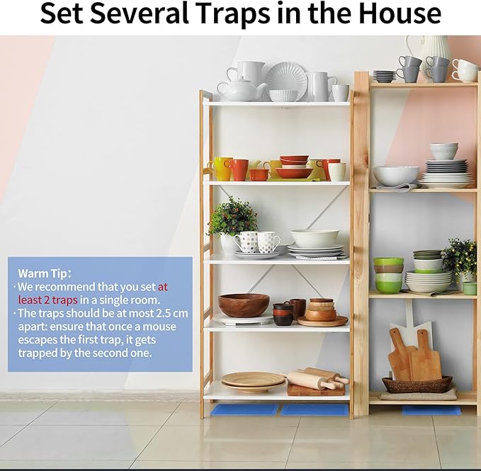 LULUCATCH Super Glue Traps 48 Pack for Mice & Snakes, Larger, Heavier Sticky Traps with Non-Toxic Glue. Sticky Mouse Traps Indoor, Easy to Set, Pet Safe Pest Control