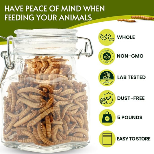 PICKY NEB Dried Mealworms 100% Non-GMO 5 Lb - Mealworms for Birds, Chickens, Ducks - Perfect High-Protein Treats - Whole Large Meal Worms, Dried for Chickens and Bluebird Food Bulk
