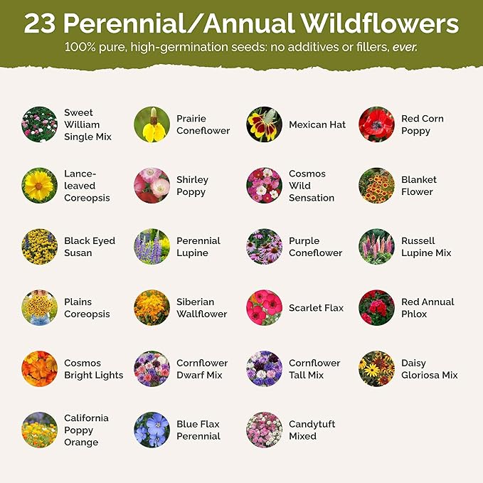 Eden Brothers Michigan Wildflower Mixed Seeds for Planting, 1 lb, 480,000+ Seeds with Cornflower, Sweet William, Cosmos | Attracts Pollinators, Plant in Spring or Fall, Zones 3, 4, 5, 6, 7, 8, 9, 10