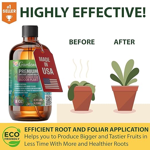 GARDENERA Premium Organic Seaweed & Kelp Superfood for Pomelo Plants - 32 oz - Liquid Kelp Fertilizer Concentrate (Makes 180 Gallons)