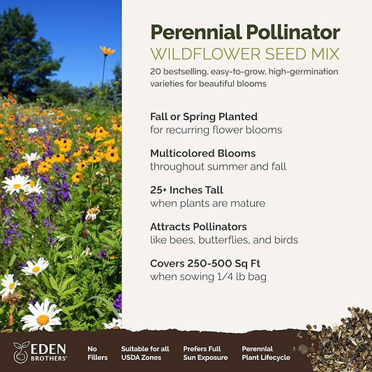 Eden Brothers Perennial Pollinator Wildflower Mixed Seeds for Planting, 1/4 lb, 120,000+ Seeds with Blue Flax, Coneflower | Attracts Pollinators, Plant in Spring or Fall, Zones 3, 4, 5, 6, 7, 8, 9, 10