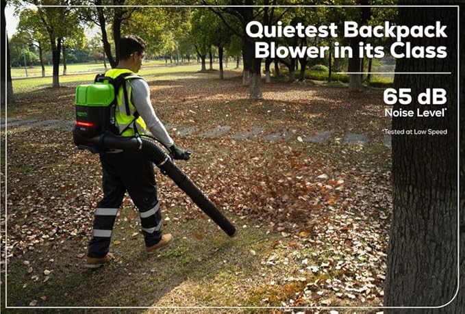 GREENWORKS Commercial Optimus 82v 36N Backpack Leaf Blower Core530 DP Kit BB361-C5DP (CORE TECH Batteries)