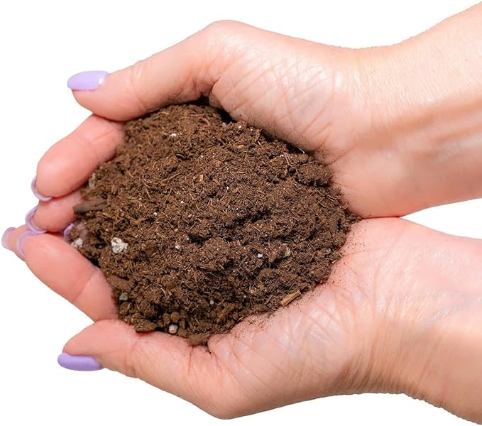 GARDENERA Citrus Tree Potting Soil Mix, Special Blend for Indoor Oranges, Lemons, Limes and More - (5 Quart Bag)
