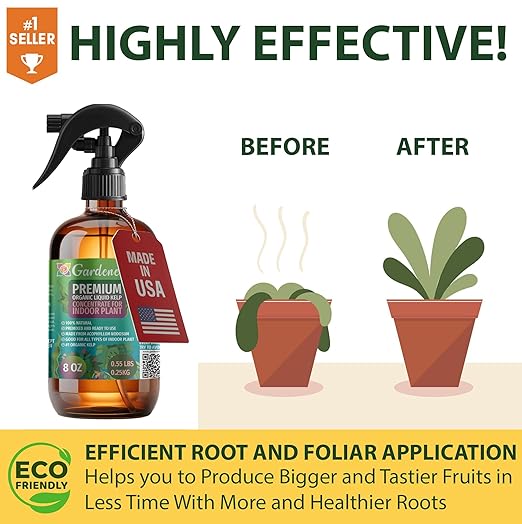 GARDENERA Professional Organic Liquid Kelp Spray for Tropical Trees Plants - 8 oz - Ready-to-Use Fully Organic Seaweed & Kelp Fertilizer Mist