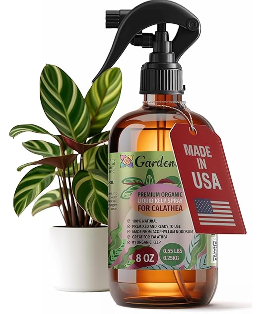 GARDENERA Professional Organic Liquid Kelp Spray for CALATHEA Plants - 8 oz - Ready-to-Use Fully Organic Seaweed & Kelp Fertilizer Mist