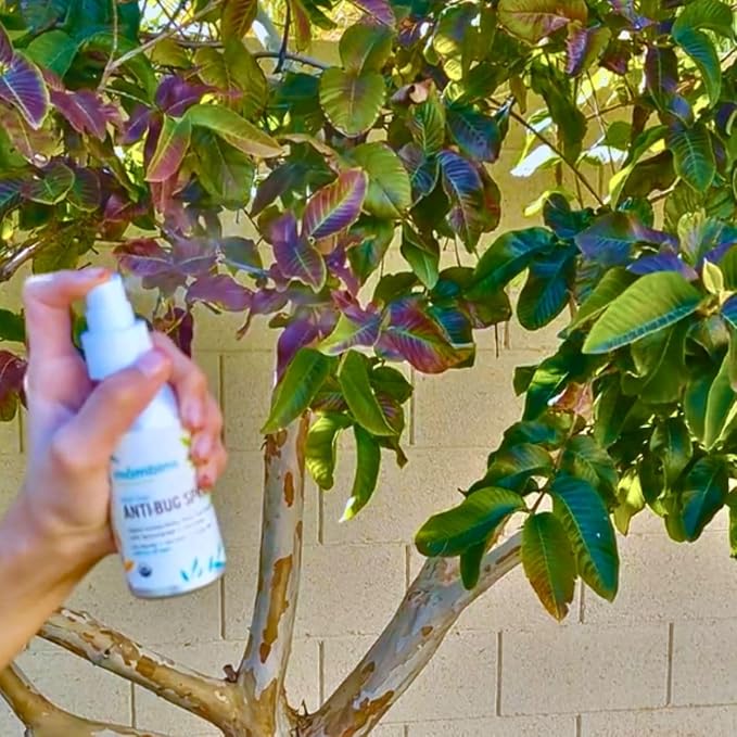 Mambino Organics Anti-Bug Spray, DEET-Free, Organic Mosquito Repellent with Essential Oils, Reef Safe, Face-Safe Protection for Babies, Kids, and Adults, Travel Bug Spray, 4oz, 2-Pack