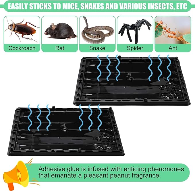 Qualirey 6 Pcs Jumbo Rat Mouse Glue Traps 10" x 10.8" Peanut Taste Pheromone Mouse Traps Large Glue Mouse Traps Snake Mouse Sticky Trap for House Warehouse Indoor Outdoor, Child & Pet Friendly