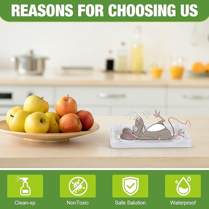Qualirey 40 Pcs Baited Mouse Glue Traps Indoor for Home Adhesive Plastic Sticky Rat Traps Pads Bulk for House Pest Mice Rats Indoor Outdoor, Simple and Easy to Use (White)