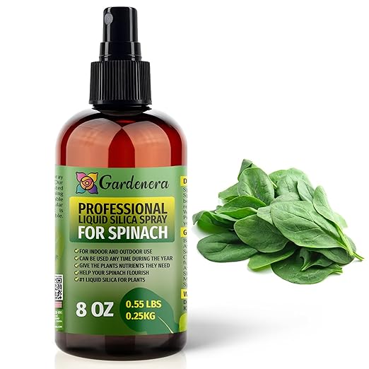 𝐒𝐔𝐏𝐄𝐑𝐈𝐎𝐑 Liquid Silica Boost Fertilizer and Supplement Spray for Spinach Plants – Pre-Mixed, Ready-to-Use Liquid Silicon Plant Superfood Mist for Indoor & Outdoor Plants – 8oz