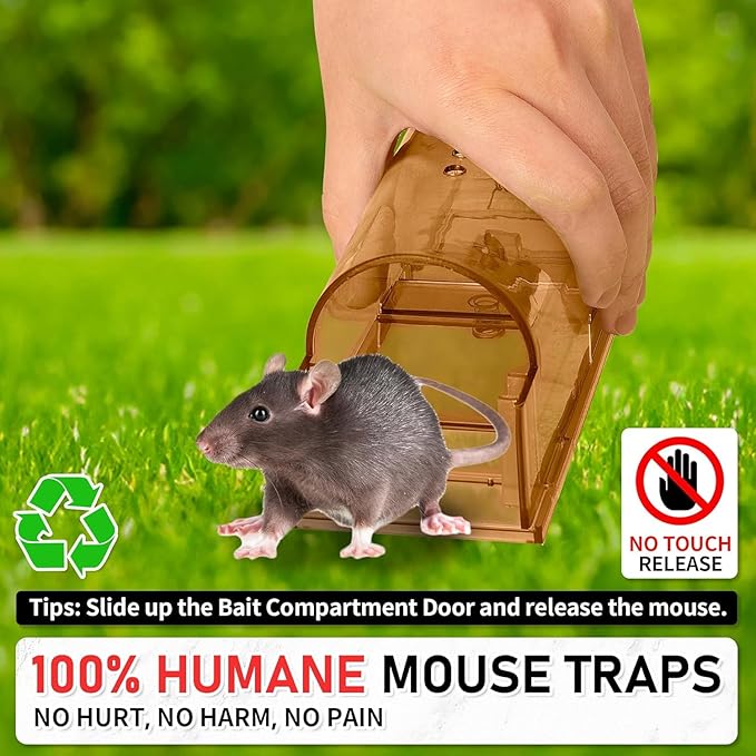 LULUCATCH Humane Mouse Traps 6 Pack, Live Mouse Traps, Catch Release Mouse Traps Indoor for Home, Reusable with Cleaning Brush, No Kill Mole Squirrel Rat Traps for House & Outdoors, Pet Safe