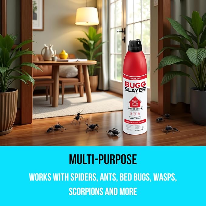 BUGGSLAYER Insecticide RTU Aerosol - Indoor Insect Killer - Spiders, Ants, Roaches, Bed Bugs & More - Odorless, Non-staining - 10 oz Spray Can