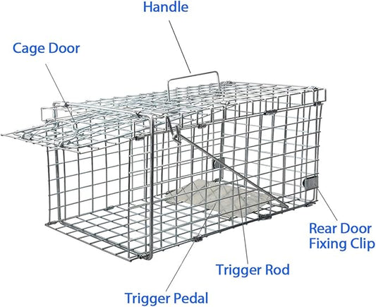 Gingbau Squirrel Trap Foldable Heavy Duty Humane Live Animal Cage Trap (Not for Mouse)