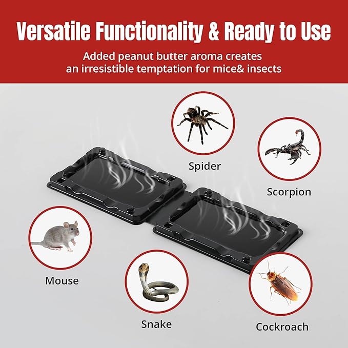POPTRAP Rat Trap Heavy Duty & Large, Super Sticky Mouse Trap with Ultra-Strong Glue, Scent of Peanut Butter for Indoor & Outdoor, Non-Toxic (SmallSize-12Pack)
