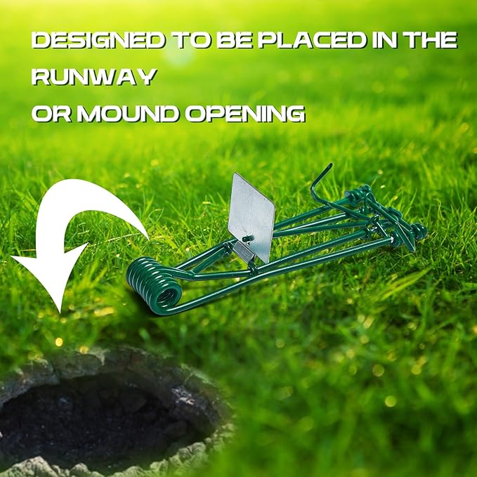 Qualirey 8 Pcs Outdoor Gopher Trap Easy Set Mole Trap Weather Resistant Gopher Killer Vole Killer for Lawn Garden Farm (Green)