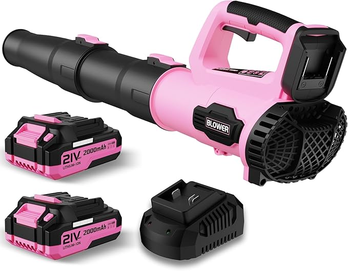 Leaf Blower, 21V Cordless Electric Blower with 2 2.0Ah Batteries and 1 Hour Fast Charger, Lightweight Leaf Blower for Patio Cleaning, Lawn Care, Blowing Fallen Leaves and Dust, etc.