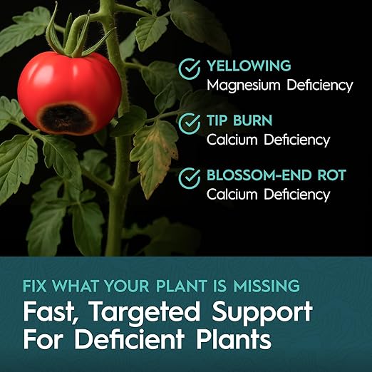 CaMg Gallon | High-Concentration Calcium and Magnesium Supplement with Nitrogen and Iron | Essential Micronutrient Blend for Vigorous Plant Growth